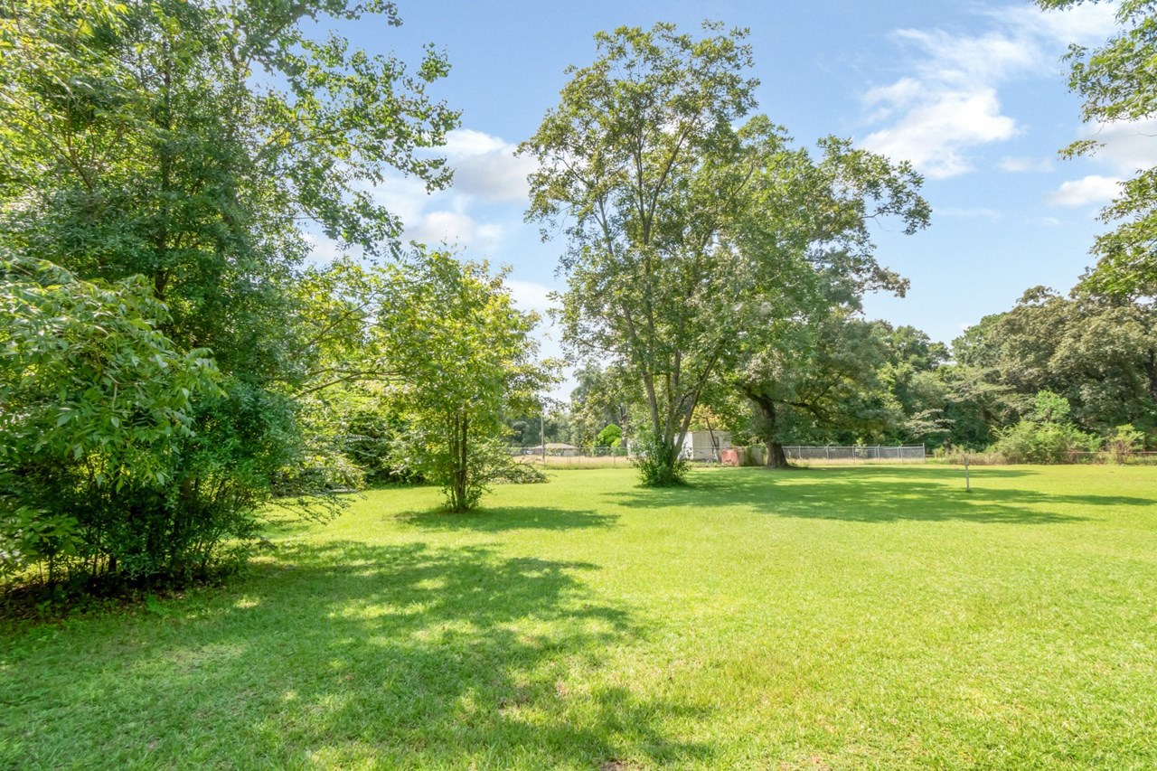 view of backyard