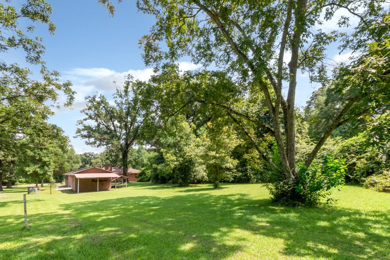 back yard